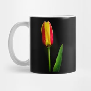 Tulip Mug